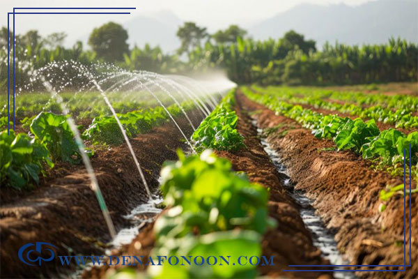 The Role of Water in Agriculture